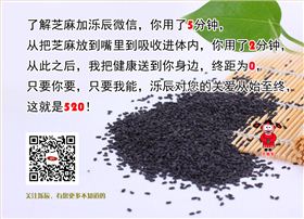 泺辰食品黑芝麻520