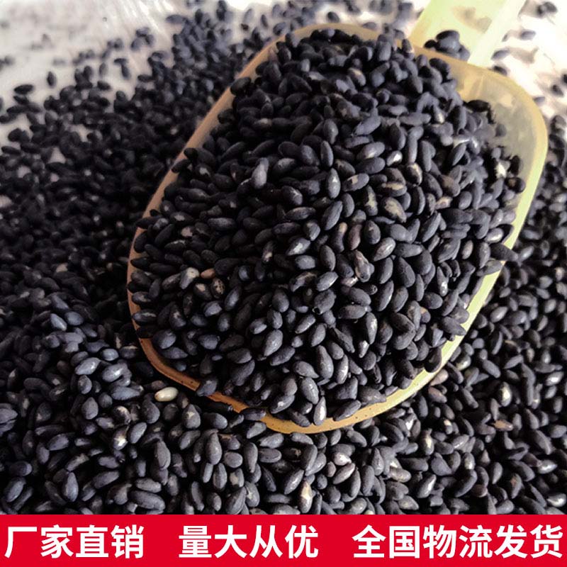 炒熟黑芝麻批发 炒熟黑芝麻批发
